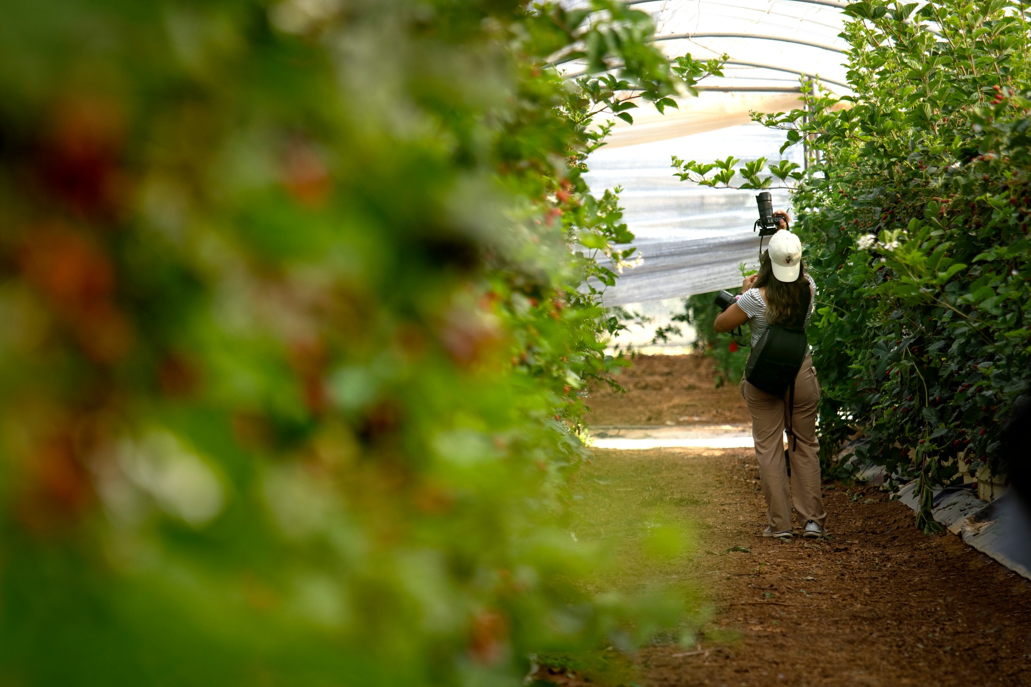 498310223_1169145968347772_3333054444931098435_n