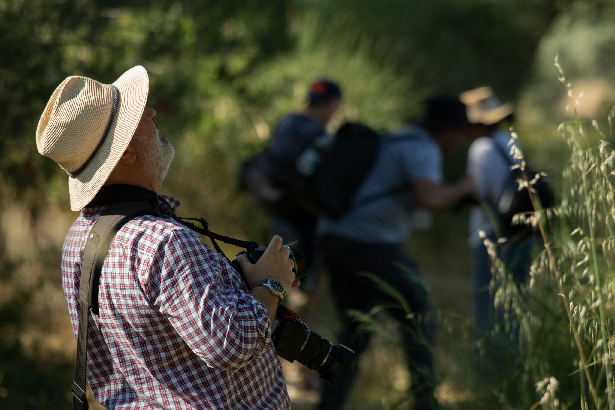 499074607_1169146211681081_7485846846755685873_n